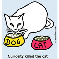 curiosity killed the cat