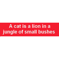 a cat is a lion in a jungle of small bushes