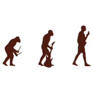 musical evolution